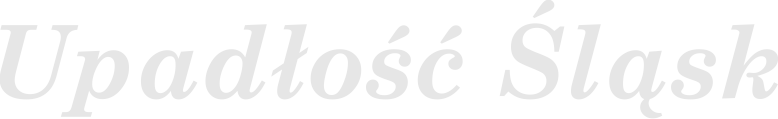 Upadłość Śląsk